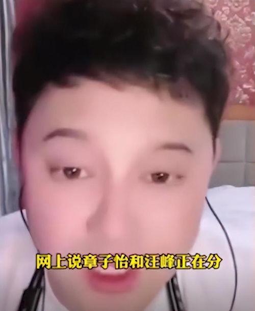 刘一飞爆料汪峰视频播放,播放背后有何秘密？