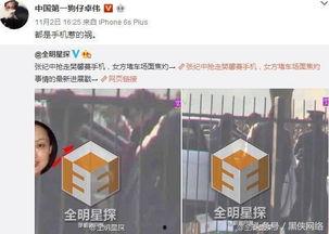 卓伟爆料赵五儿视频全集,揭秘娱乐圈幕后真相