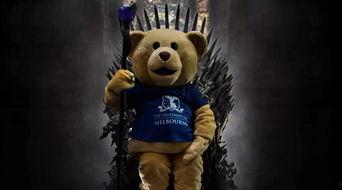 小熊明星记,萌宠成长记