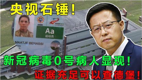 惊天爆料新冠病毒视频大全,惊天爆料视频大全深度解析