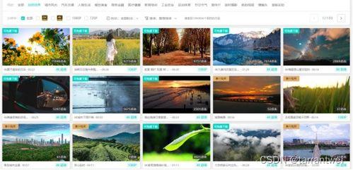 视频爆料素材网站免费观看,视频爆料素材网站带你畅享影视盛宴