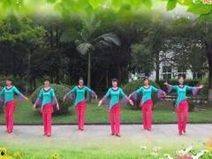 祝酒歌广场舞视频大全,祝酒歌广场舞视频大全赏析