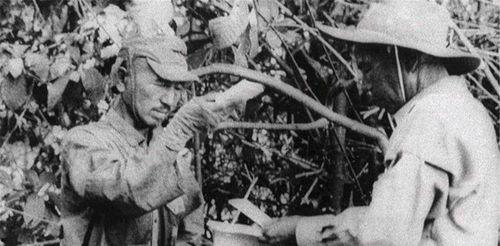 山中崇 日本兵,揭秘日本兵的传奇人生