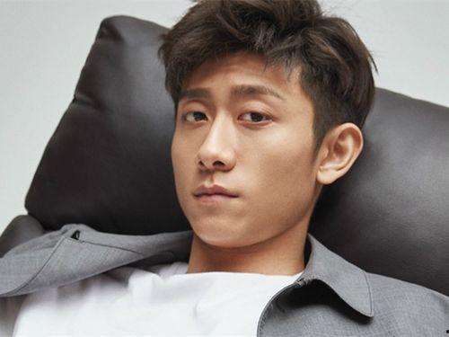 明星叫什么武,星光熠熠的影视界璀璨明星