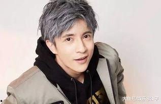 赞扬明星薛之谦,音乐才华与人气双丰收的璀璨之星