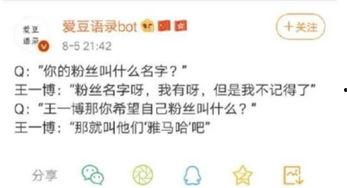 明星粉丝的昵称,揭秘明星粉丝昵称背后的故事